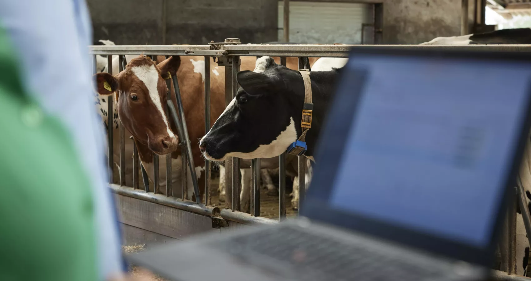 Engineero JN3992 copy min