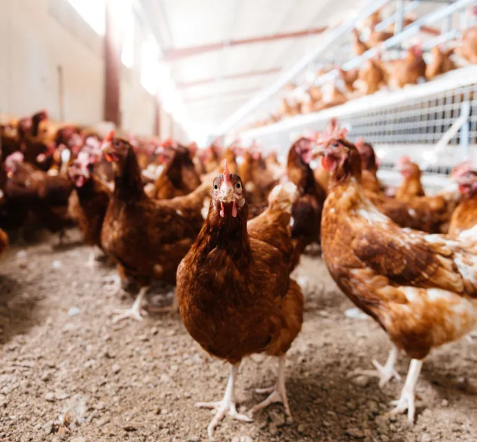 shutterstock 2364863827 lr