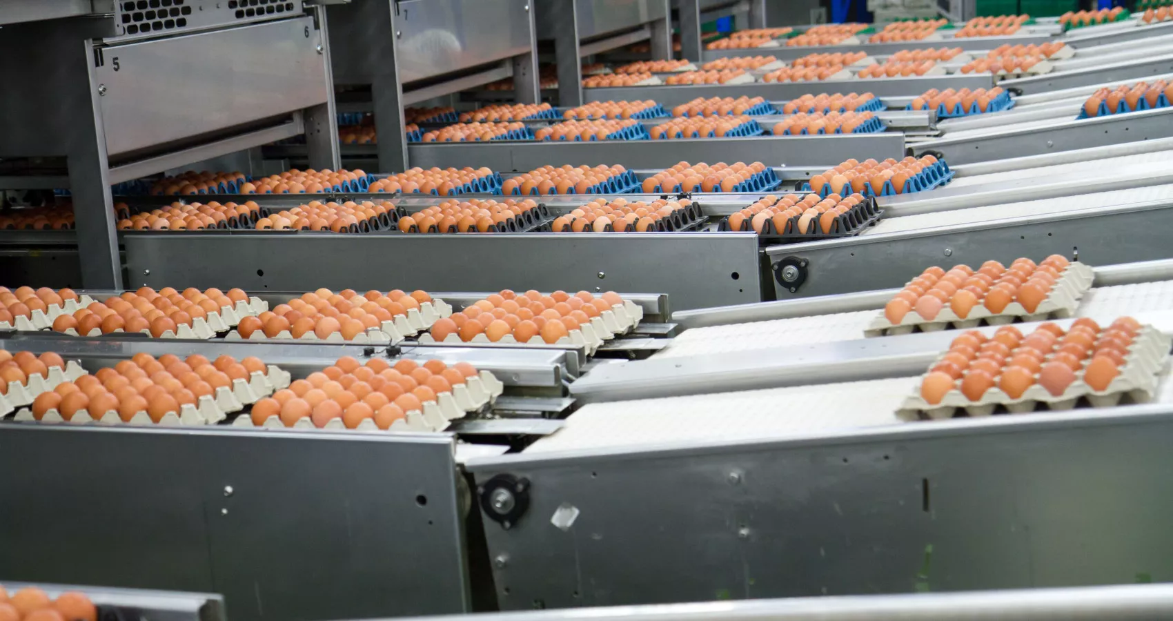 shutterstock 524071906 min